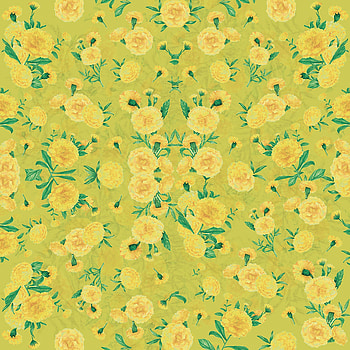 Flowers, Patterns, Texture, Textures HD phone wallpaper