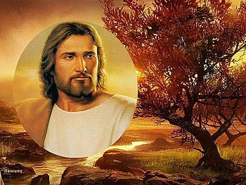 My sweet Lord Jesus Christ, god, christianity, religion, jesus christ HD wallpaper