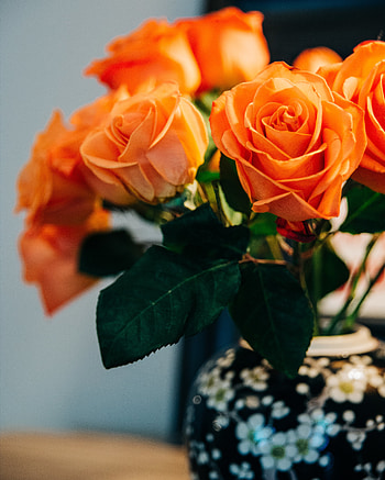 Flowers, Roses, Bouquet HD phone wallpaper