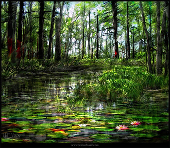 Lillies of the lake, blue sky, pink, green, trees, lilly pads, water, forest, lillies HD wallpaper