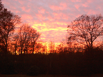 West Kingston, R.I. Great Swamp, reds, late fall, great swamp, sunset HD wallpaper