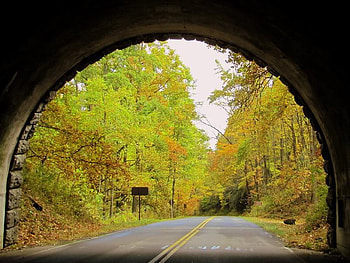 Coming Out, bridge, trees, road, sky HD wallpaper