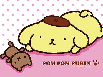 Pom Pom Purin, Pom Pom, Pudding, Dog, Bear, Cute, Kawaii, Purin, Puppy, Teddy HD wallpaper