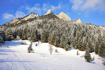 Pienin Mountains , mountains, cold, morning, nature HD wallpaper