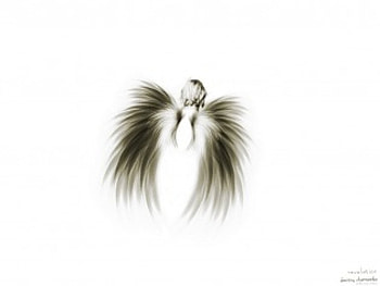 The Revelation, wings, angel, winged, outline HD wallpaper