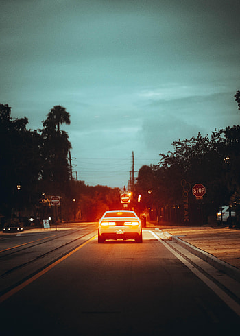 Twilight, Cars, Shine, Light, Road, Car, Dusk, Street HD phone wallpaper