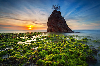 Horizon, sea, wood, goo, clouds, stone, sky, sunset HD wallpaper