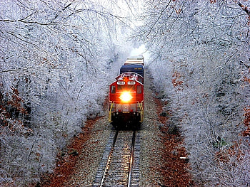 Train in Trees, cool HD wallpaper