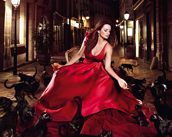 Lady in Red, cat, model, woman, red HD wallpaper