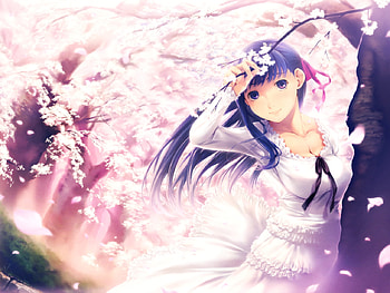 Names Sakura , other, anime girl, cute, fate stay night HD wallpaper