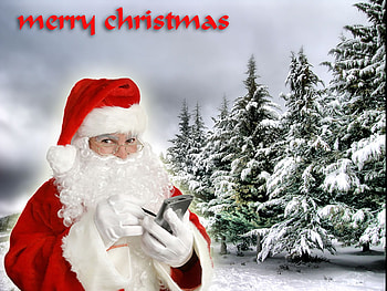 ♫ Merry Christmas to All ♫, winter, scenery, pine, forest HD wallpaper