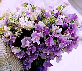 Bouquet, soft, colors, gift, beauty, summer, purple, nature, flowers HD wallpaper