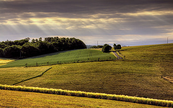 Nature, Road, Field, Hills, Day, Agriculture, Arable Land HD wallpaper
