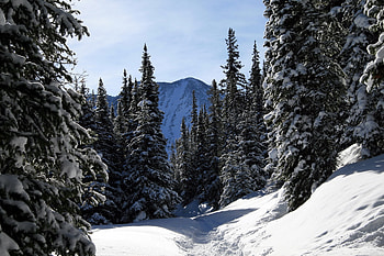 Winter, Nature, Trees, Sky, Mountains, Snow, Forest, Ate, Colorado HD wallpaper
