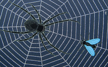 Spider and Fly, Fly, Art, Painting, Dot painting, Spider, arachnid, insect HD wallpaper