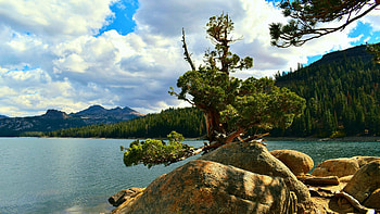 Caples Lake, California, water, landscape, trees, clouds, sky, rocks, usa HD wallpaper