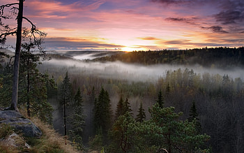 Foggy Sunrise National Park, nature, sunrise, national-park HD wallpaper
