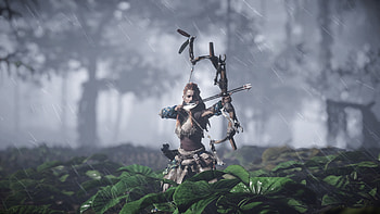 Horizon zero dawn, playstation game, archer HD wallpaper