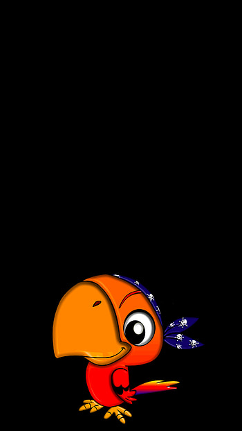 Funny, Art, Parrots, Vector, Bird, Pirate HD phone wallpaper