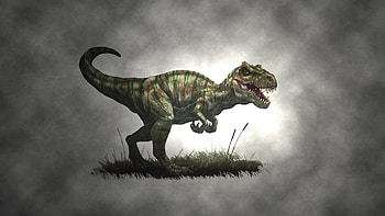 Draw dinosaur Allosaurus, Minimalism in resolution, , Allosaurus HD wallpaper