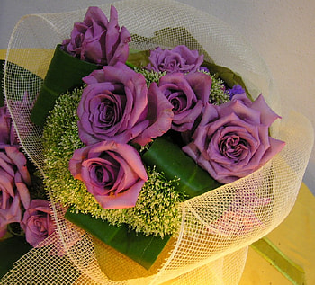special delivery, delivery, bouquet, purple rose, special HD wallpaper