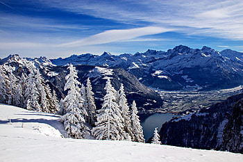 Winter in Switzerland, Valley, Switzerland, Winter, Nature HD wallpaper