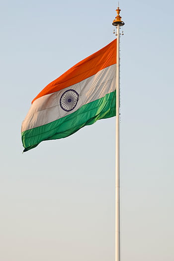 The Indian national flag waving majestically on a clear day, symbolizing patriotism and national pride. HD phone wallpaper
