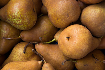 Fruits, Food, Pears, Ripe HD wallpaper