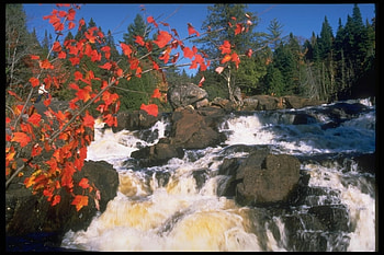 Plants, Landscape, Nature, Water, Stones, Waterfalls HD wallpaper