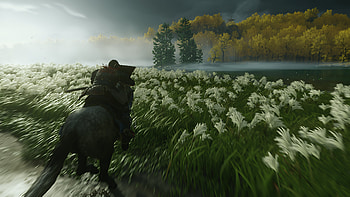 Ghost of Tsushima, Ghost of Tsushima HD wallpaper