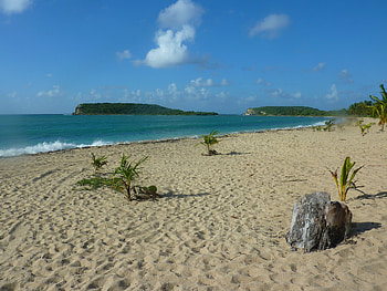 Vacation guide, Culebra Island, Puerto Rico HD wallpaper