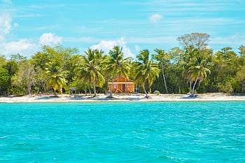 Idyllic cabin on a tropical beach in La Altagracia, Dominican Republic, surrounded by palm trees and turquoise waters. HD wallpaper