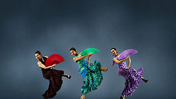 Artistic portrayal, Graceful movements, Flamenco dancer, Cultural heritage HD wallpaper