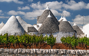 Trullo, Vineyard, Cityscape, Buildings HD wallpaper