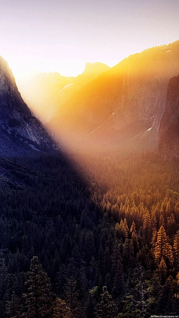 mountain wood line evening 6 HD phone wallpaper