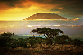 Kilimanjaro, Travels, Mural , Nature scenery HD wallpaper