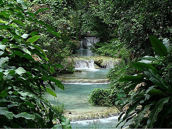 Waterfall, trees, leaves, nature HD wallpaper