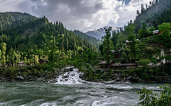 Amazing Nature, river, nature, amazing, tree HD wallpaper