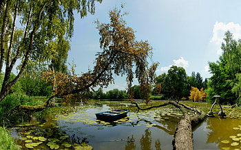 Beautiful Lake, boat, beautiful, lakes, green, water lily, clouds, trees, nature, sky, water, lotus HD wallpaper