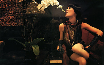 top_models, top, lady, models, flowers HD wallpaper