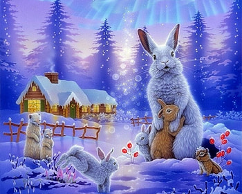 winter rabbits, blue, winter, snow, rabbit HD wallpaper