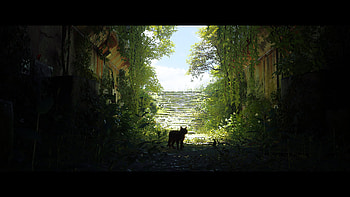 stray 24, video game, Stray HD wallpaper
