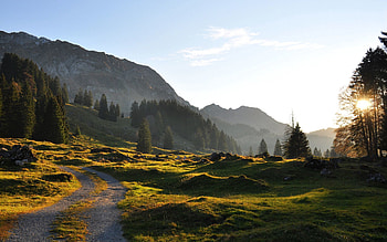 Landscape, Nature, Trees, Mountain, Road, Relief, Irregularities, Hills HD wallpaper