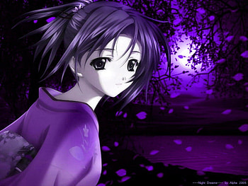 Purple Night, Cant think of a fourth, Moon, Purple Moon, Purple HD wallpaper