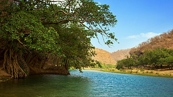 Oman travels, Salalah beauty, Fanpop HD wallpaper