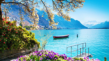 Lake Geneva, Montreux, Switzerland, flowers, alps, mountains, boat, landscape, trees HD wallpaper