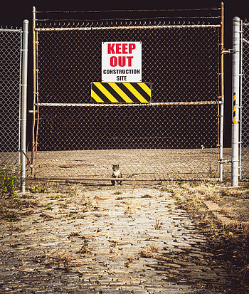 Words, Cat, Fence, Nameplate, Plate, Warning, Ban, Prohibition HD phone wallpaper