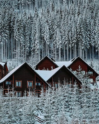 Winter, Nature, Houses, Snow, Forest HD phone wallpaper