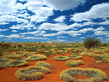 Nature, Sky, Clouds, Sand, Vegetation, Australia HD wallpaper