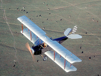 Early bird Curtiss Jenny(for Frank), bird, , , flight, flying, early, old, aircraft, airplane, antique, wall HD wallpaper